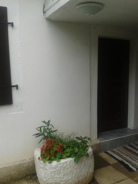 Apartment Kalikut Beli Pokoj fotografie